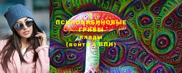 гидра Абаза