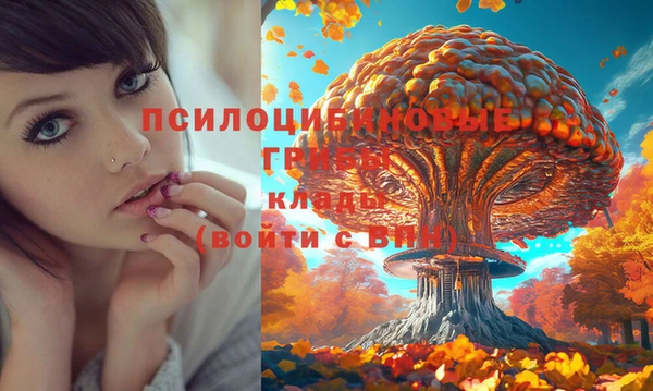 героин Лихославль