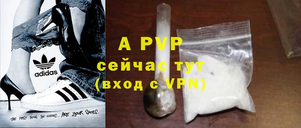 гидра Абаза