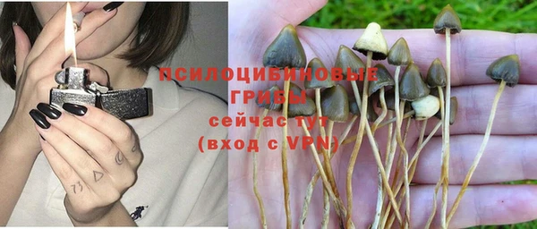 PSILOCYBIN Абдулино
