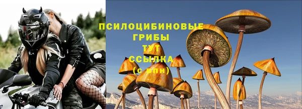 гидра Алексин