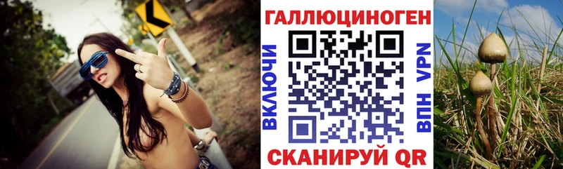 Галлюциногенные грибы Psilocybe  Сочи 